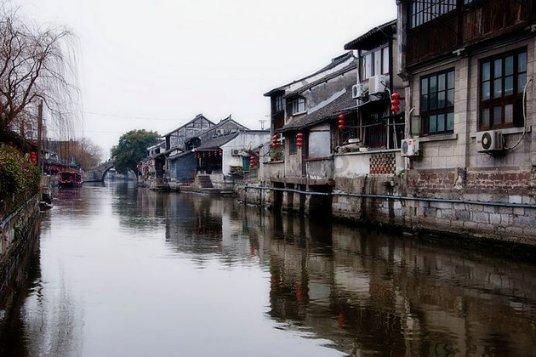 昆明动物园7斤公猫体检,全程没有反抗:或因与猴子接触过多